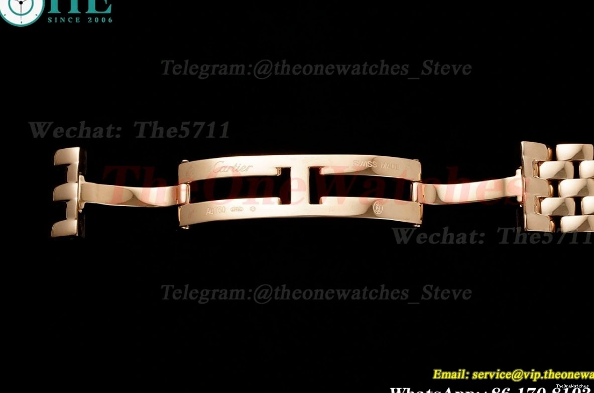 Secrete RG Ladies De RG Quartz Panthere Dial AF 27mm Mop 0123